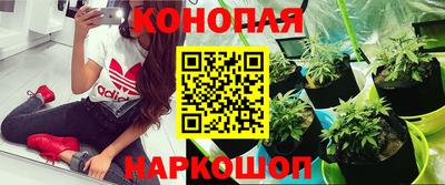 mdpv Кандалакша